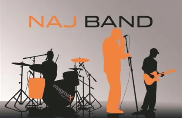 Več informacij o prijavi na natečaj dobite na naslovu http://www.gig.si/magmafest/