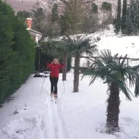 Smučanje med palmami