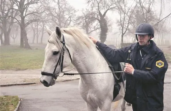  Konec septembra bo policijska konjenica sodelovala tudi  na tradicionalnih Dnevih Kobilarne Lipica.