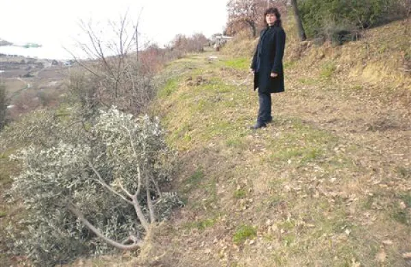 Esma Seferagić na terasi, s katere, trdi, je sosed z bagrom izruval oljke in fige, ki so končale na terasi niže.
