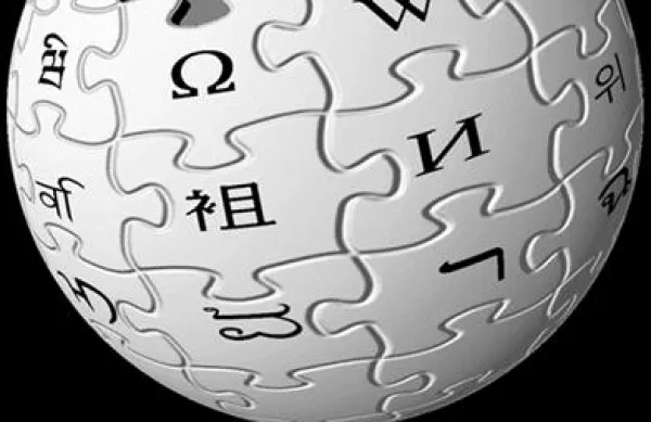 Wikipedia, za katero skrbi leta 2003 ustanovljena neprofitna organizacija Wikimedia, danes po vsem svetu zaposluje okrog 50 ljudi in ostaja neprofitna. 