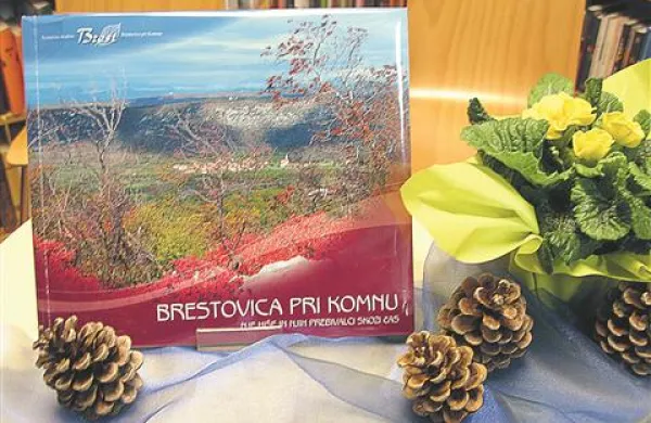 Popoln zapis brestovi&scaron;kih hi&scaron;nih imen
