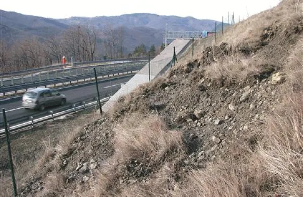  Hitro cesto pred plazenjem varuje več pilotnih sten,  zemlja pa   je splazela  tik ob  eni od njih