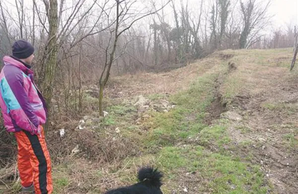 Pobočje na novem, manjšem plazu v Šmihelu se premika in poseda.