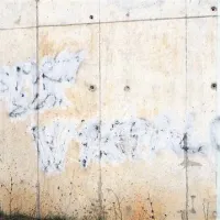 Neznani avtor je na zid podvoza napisal “Smrt SLO”