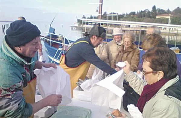 Ribe - zlasti ciplji - so zjutraj na portoroškem pomolu šle za med.
