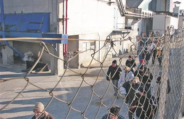 Delavci v današnji burji pred tovarno Lipa plus
