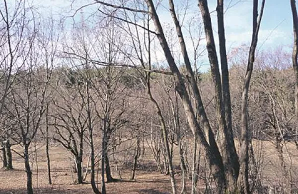 Fotografija je simbolična.