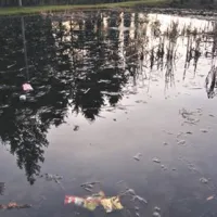 Končno bolj&scaron;i časi za  park Nade Žagar?