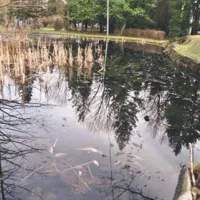 Končno bolj&scaron;i časi za  park Nade Žagar?