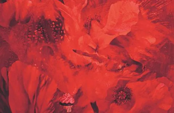 Lara Marconi, Candies, olje na platnu, 2009
