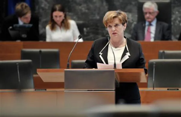 Socialnim podjetjem je po  besedah Andreje Črnak Meglič skupno to, da ustvarjanje dobička ni glavni motiv.