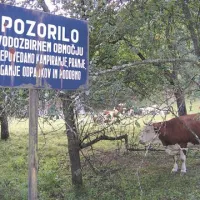 Fotografija je resda arhivska, razkriva pa zdajšnje razmere na območju predvidenega vodnega zajetja Padež. Še malo, pa bo od čakanja pobralo tudi opozorilno tablo.
