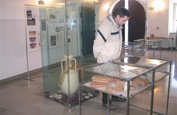 Notranjski muzej je, kljub temu da nima lastnih razstavnih prostorov, v preteklih letih pripravil več zanimivih razstav