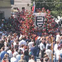 Ostanek tradicije na Bistriškem  je tudi  vizita, kjer vozove okrasi marsikatero društvo