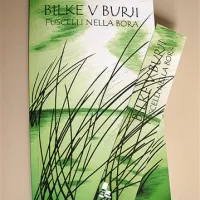 Zbirka izolskih pesnic 