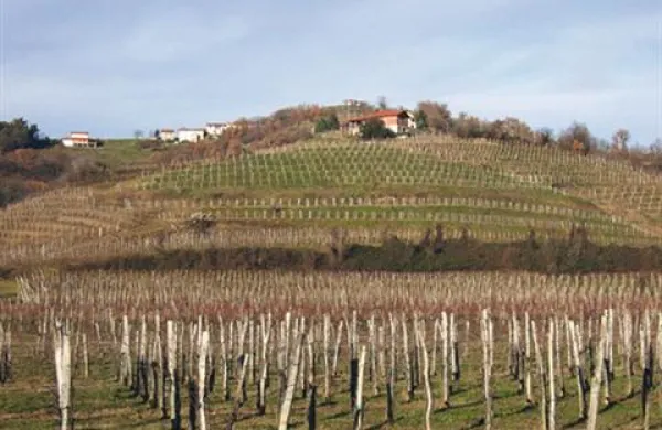 Letošnja kampanja oddaje zbirnih vlog za kmetijske subvencije se bo začela 1. marca in bo trajala do 6. maja.