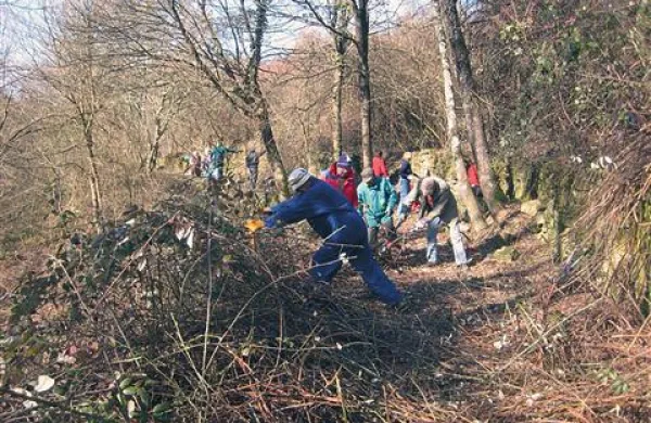Robida izginja pod pridnimi rokami prostovoljcev