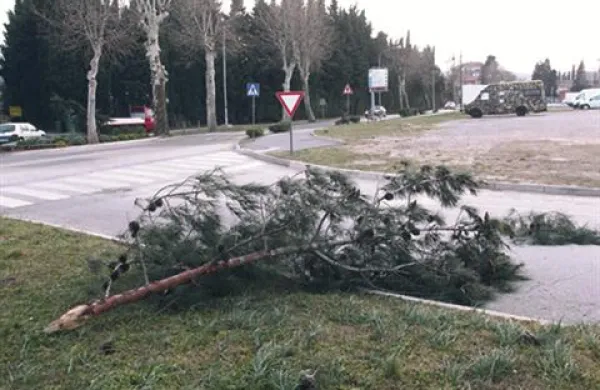 Burja je svoje sledi pustila tudi v Izoli. 
