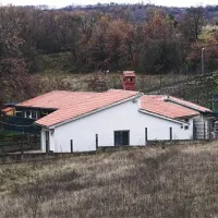 Lastnica hiše ob Obalnem zavetišču za pse v Dvorih pri Sv. Antonu je Mestna občina Koper, kjer pa še ne vedo, kaj bi s tamkajšnjimi prostori  