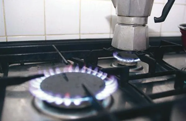 Cene zemeljskega plina so bile v Sloveniji v prvem polletju 2010 tako za gospodinjstva kot za industrijo višje od povprečja Evropske unije, in sicer v gospodinjstvu za deset odstotkov, v industriji pa celo za 25 odstotkov.