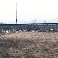 Zelenica med obvoznico in hitro cesto je polna nesnage