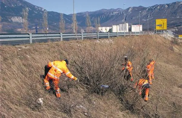 Darsovi vzdrževalci so včeraj čistili smeti  ob hitri cesti