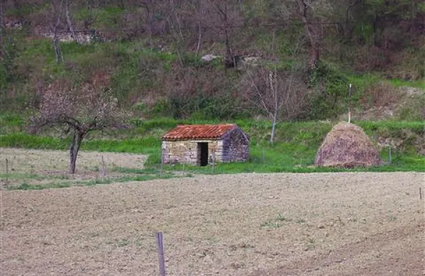  Podobni objekti (na fotografiji je kažeta iz starega dela Jagodja) naj bi polepšali tudi območje pod Belvederjem in  krajinskega parka