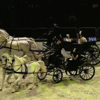 Ponos, lepota, pogum je bila formula za polno zasedeno dvorano