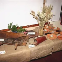  Osnovnošolci iz OŠ Antona Žnideršiča so predstavili orodje, ki so ga uporabljale žanjice