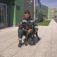 Kora in njen vodnik,  carinik preiskovalec iz Carinskega urada Koper,  bosta skupaj najpogosteje odkrivala tihotapsko blago  v Luki Koper.