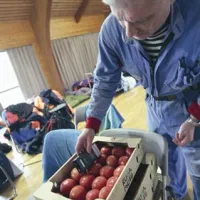 Reaktorje v Fuku&scaron;imi &scaron;e vedno ohlajajo