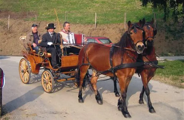 Srečko Špacapan iz Volčje Drage je s kočijo iz leta 1919 pripeljal župana Marušiča, podžupana Rusjana in harmonikarja