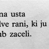 Pesnik Josip Osti, Pepi Tomajski, o haikujih, svojih ljubeznih, spreminjanju Krasa ...