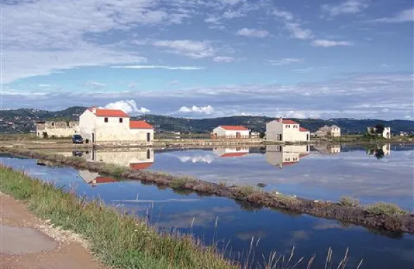 V solinarskem muzeju v Sečoveljskih solinah, ki je investitor tamkajšnjih obnovitvenih del,  so delavci zidarji ajdovskega podjetja Real Invest in Real TGM delali približno dve leti. Brez plačila so od maja lani. 
