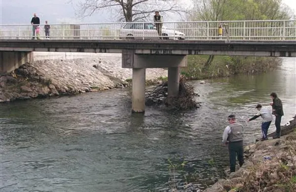 Ajdovski ribiči so  ribarili ob Vipavi, tekmovanje in  praznik pa bodo pripravili maja