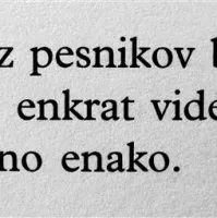 &ldquo;Zdaj sem kot nepozebnik in usodnik&rdquo;