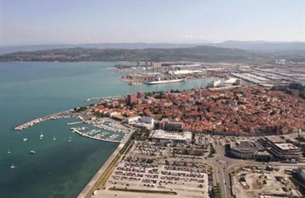 Do  volitev takoj, ko bo mogoče