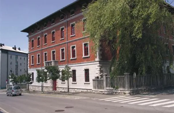 Statusnemu preoblikovanju Notranjskega muzeja so že v začetku leta močno nasprotovala celotna muzejska strokovna javnost in muzejska združenja.