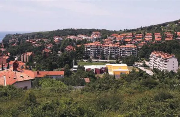 Poslanca Luka Juri in Marjan Križman v predlogu resolucije, ki sta ga vložila v začetku marca, navajata ustavno-pravne razloge, zaradi katerih DZ ugotavlja, da nove občine na območju Ankarana ni mogoče ustanoviti.