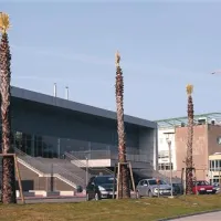 Krošnje palme pri OŠ Koper so tako porezane, da  drevesa spominjajo na zobotrebce.