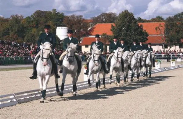 Danes se bo s kvalifikacijsko tekmo v dresuri za pokal Alpe-Adria v Lipici začela letošnja bogata sezona konjeniških prireditev. 