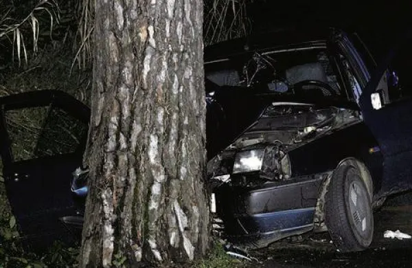 20-letnik, ki je vozil iz smeri Postojne proti Hraščam je zaradi neprilagojene hitrosti v blagem ovinku trčil v drevo. Nesreče žal ni preživel. Fotografija je simbolična.