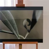 Tina Umer: Detajl, digitalna fotografija