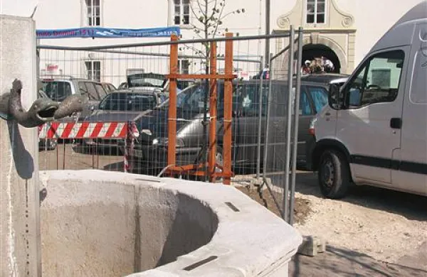 Ob obnovljenem vodnjaku rastejo mlade, urbane lipe. 