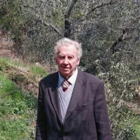 Bruno Podveršič, pionir briškega oljkarstva