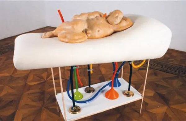 Barbar v vrtu (2010)