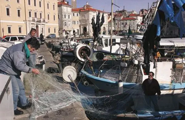 V soboto zjutraj je 30-letni ribič iz Pirana prijavil krajo mrež. Fotografija je simbolična.