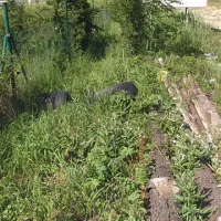So odvržene gume nekoč pripadale  avtobusu ali tovornjaku? Kakorkoli že, tja ne  sodijo.