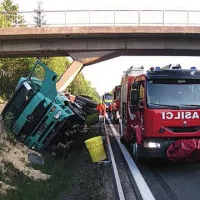 Cestarji bodo ob avtocesti pri Uncu namesto trave odslej kosili pšenico.